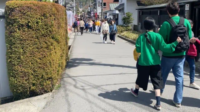 別府神和苑の宙フロアの瞬という部屋レビューと口コミ